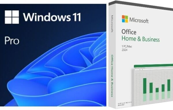 DSP Windows 11 Pro + Office H&B 2024 ENG, FQC-10528 + EP2-06631