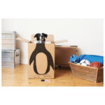 Marker permanentni 4-12 mm Edding 800 crni - Slika 5