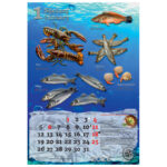 Kalendar "Ribarnica 2026" 13 listova, spirala - Slika 2