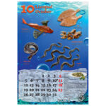 Kalendar "Ribarnica 2026" 13 listova, spirala - Slika 3