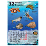 Kalendar "Ribarnica 2026" 13 listova, spirala - Slika 5