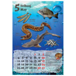 Kalendar "Ribarnica 2026" 13 listova, spirala - Slika 10