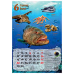 Kalendar "Ribarnica 2026" 13 listova, spirala - Slika 11