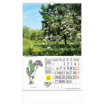 Kalendar "Ljekovito bilje" s rotacijskim krugom, spirala, Nikoprom - Slika 9