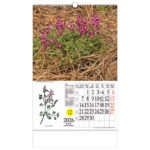 Kalendar "Ljekovito bilje" s rotacijskim krugom, spirala, Nikoprom - Slika 11