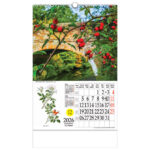 Kalendar "Ljekovito bilje" s rotacijskim krugom, spirala, Nikoprom - Slika 12