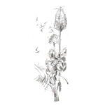 Olovka grafitna 4B Castell 9000 Faber-Castell 119004 - Slika 2