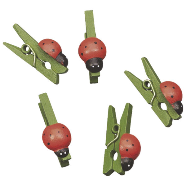 Kvačice drvene Buba mara 2,5 cm pk24 Knorr Prandell 21-8001537 blister