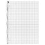 Blok kolegij A4 karo  80L perforacija+4rupe ZENart Floral Brunnen 10-67428 - Slika 2