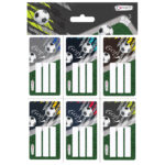 Etikete školske 6/1x3+raspored sati-dječaci Connect blister