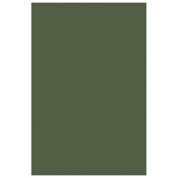 Filc ukrasni A4 pk10 Knorr Prandell 21-8436487 maslinasto zeleni!!