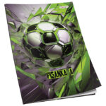 Obrazac školski pisanka "A" za 1razred Premium Connect Boy