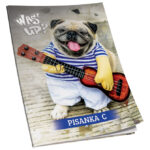 Obrazac školski pisanka "C" za 2 i 3razred Premium Connect Girl - Slika 8