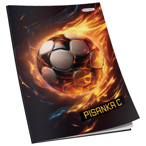 Obrazac školski pisanka "C" za 2 i 3razred Premium Connect Boy