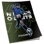 Obrazac školski pisanka "D" za 4razred Premium Connect Boy - Slika 6