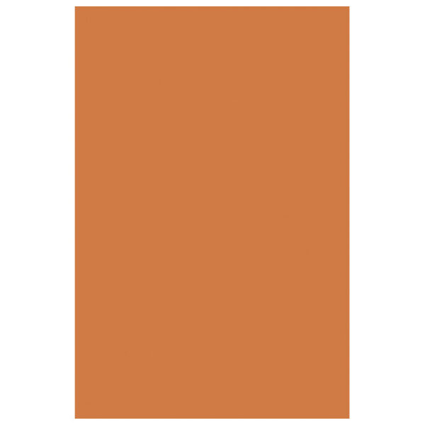 Filc ukrasni A4 pk10 Knorr Prandell 21-8436117 narančasti