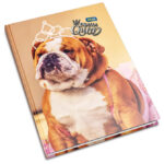 Teka tvrdi uvez A4 crte  96L 60g Educa - Slika 7