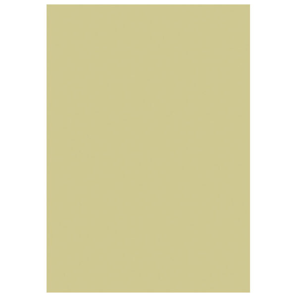 Papir u boji A4 300g pk50 Heyda 20-47165 94 zlatni