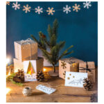 Papir u boji A4 300g pk50 Heyda 20-47165 95 srebrni - Slika 2