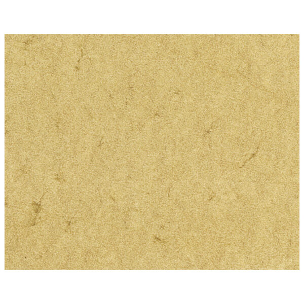 Papir ILK Elefant A4 110g pk100 Heyda 20-48310 11 šamoa!!