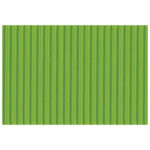 Papir ukrasni dvoslojni rebrasti B2 pk10 300g Heyda 20-47132 53 svijetlozeleni