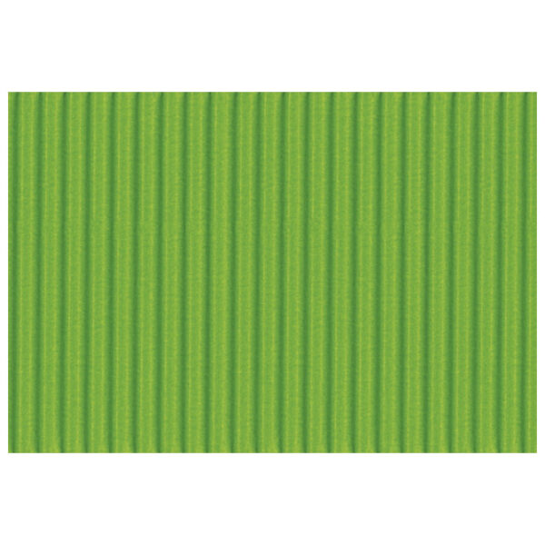 Papir ukrasni dvoslojni rebrasti B2 pk10 300g Heyda 20-47132 53 svijetlozeleni