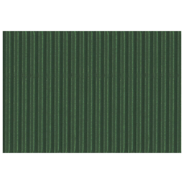 Papir ukrasni dvoslojni rebrasti B2 pk10 300g Heyda 20-47132 59 tamnozeleni