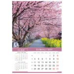 Kalendar "Priroda 2026" 13 listova, spirala - Slika 9