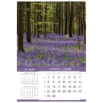 Kalendar "Priroda 2026" 13 listova, spirala - Slika 10