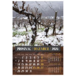 Kalendar "Vino 2026" 13 listova, spirala - Slika 5