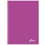 Blok kolegij A4 crte 100L perforacija+4rupe Poly Neon Connect sortirano - Slika 5