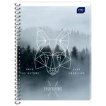 Blok kolegij B5 karo 160L perforacija+2rupe rub u boji Interdruk - Slika 7