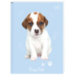 Teka tvrdi uvez A7 karo 80L 70g Interdruk sortirano - Slika 3