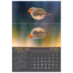 Kalendar "Zrcala u prirodi 2026" 13 listova, spirala - Slika 9