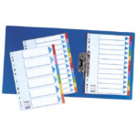 Pregrada kartonska A4 kolor 10listova Esselte 100193 - Slika 2