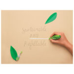 Korektor roler na klik 4 mmx6m White Line RT Begreen Pilot ECTE-25K-4G-BG - Slika 2