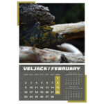 Kalendar "Igre prirode 2026" 13 listova, spirala - Slika 6