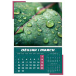 Kalendar "Igre prirode 2026" 13 listova, spirala - Slika 7