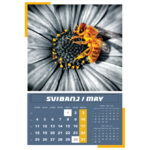 Kalendar "Igre prirode 2026" 13 listova, spirala - Slika 9