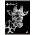 Teka meki uvez A4 crte 40+2L 80g Animal Elisa sortirani motivi - Slika 3