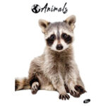 Teka meki uvez A4 crte 40+2L 80g Animal Elisa sortirani motivi - Slika 6