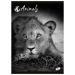 Teka meki uvez A4 crte 40+2L 80g Animal Elisa sortirani motivi - Slika 9