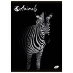 Teka meki uvez A4 karo 40+2L 80g Animal Elisa sortirani motivi - Slika 7