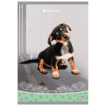 Teka meki uvez A4 karo 40+2L 80g Sweet pets Elisa sortirani motivi!! - Slika 2