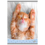 Teka meki uvez A4 karo 40+2L 80g Sweet pets Elisa sortirani motivi!! - Slika 3