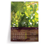 Glinamol 0,5kg Fimo Air Basic Staedtler 8100-76 terracotta - Slika 9