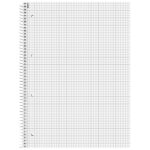 Blok kolegij A4 karo  80L perforacija+4rupe Pastel Soft Brunnen 10-67328 96 sortirano - Slika 3