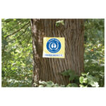 Blok samoljepljiv  75x75 mm 12x100L Nature Global Notes 5654-11box žuti - Slika 3