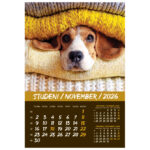 Kalendar "Kućni ljubimci 2026" 13 listova, spirala - Slika 4