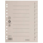 Pregrada kartonska A4 250g pk100 Donau 8610001-25 krem - Slika 2